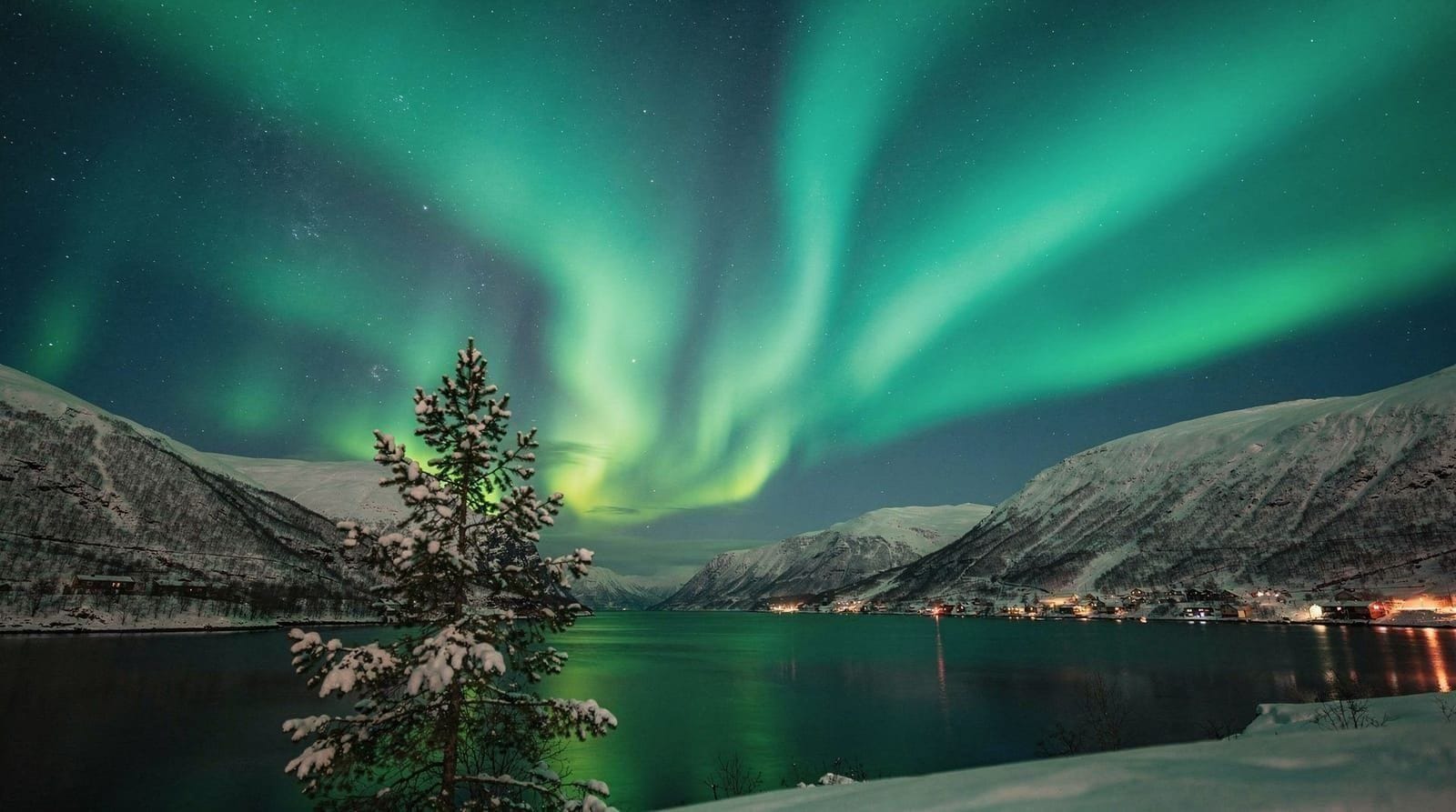 Best time to visit Tromsø — Month-by-month guide to aurora, midnight sun, whale watching and weather in Arct