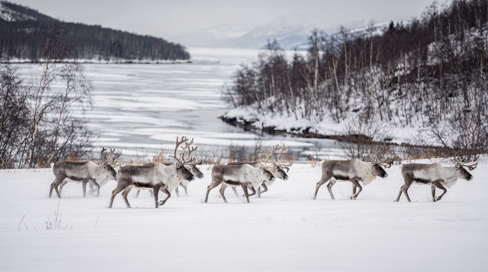 , Tromsø, Arctic Norway