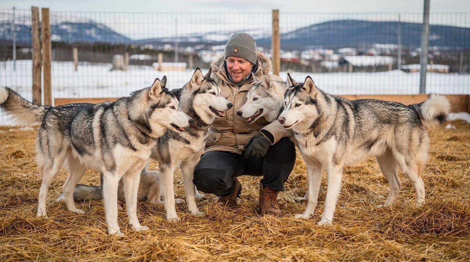 Dog sledding ethics in Tromsø — how to choose a responsible operator — How to identify ethical dog-sledding operators in Tromsø. Kennel welfare signs, 