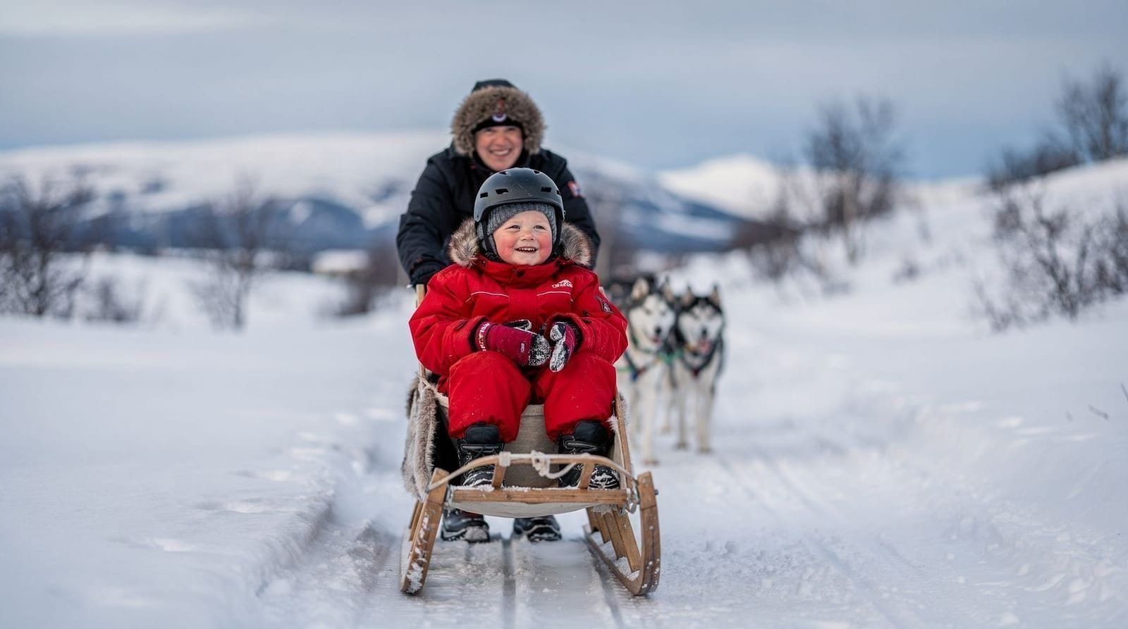 Dog sledding with kids in Tromsø — age, tips, and which tours to pick — Planning dog sledding in Tromsø with children? Age limits, best operators, prici